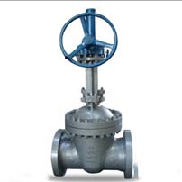 API 598 Valves Supplier in Middle East