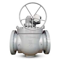 Top-Entry Ball Valves Manufacturer in Middle East