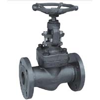 API 6D A105 Globe Valve Supplier in Middle East