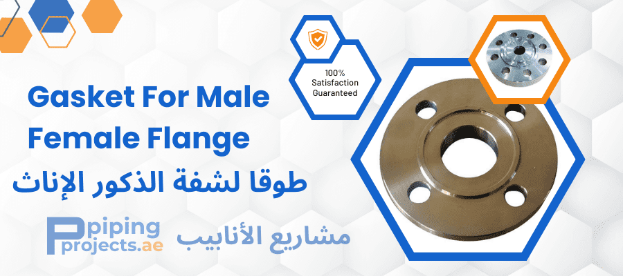 Gasket For Male Female Flange Manufacturers  in Middle East