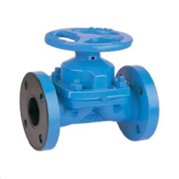 Nimonic Alloy 80A Diaphragm Valve Manufacture in Middle East