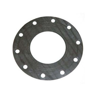 Non-Metallic Flat-Ring Gasket Mnaufacturer in Middle East