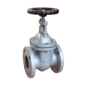 Cast iron valves Manufacturer in Middle East