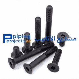 Carbon Steel Fasteners Manufacturer in Middle East
