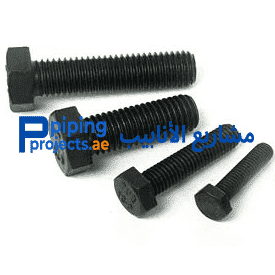 Carbon Steel Fasteners Supplier in Middle East