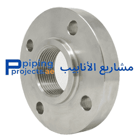 Stainless Steel 304L Flanges Supplier in Middle East