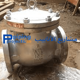 Stainless Steel Non Return Valve Supplier in Middle East