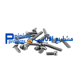 Stainless Steel Screw Manufacturer in Middle East